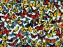 simbolismo de la mariposa en culturas