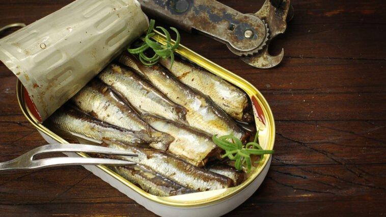 Sardinas en lata