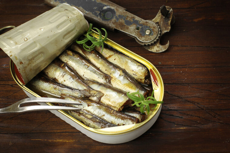 Sardinas en lata
