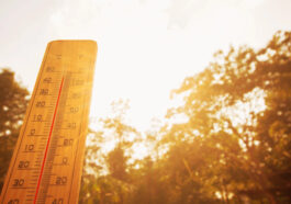 Ola de calor