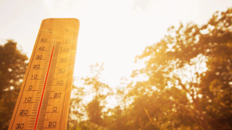 Ola de calor