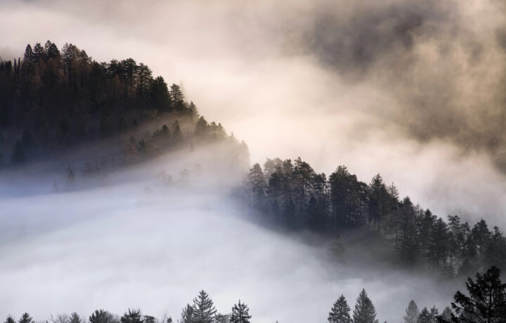 Amanecer invernal en paisaje natural