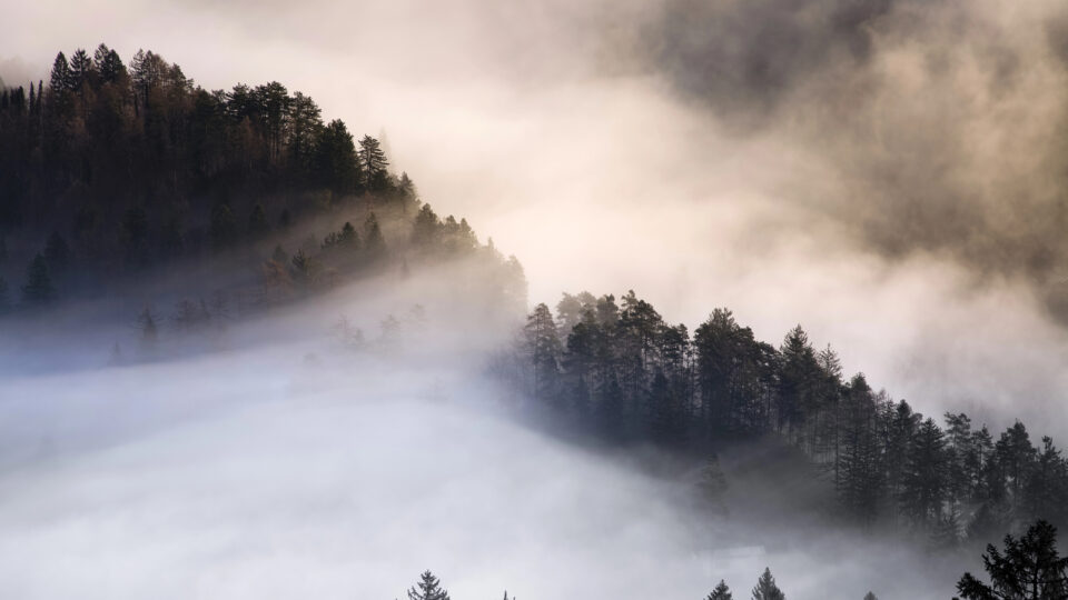 Amanecer invernal en paisaje natural